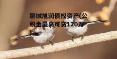 聊城旭润债权资产(公积金最高可贷120万)