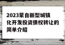 2023蒙自新型城镇化开发投资债权转让的简单介绍