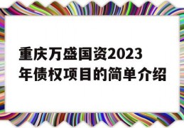 重庆万盛国资2023年债权项目的简单介绍