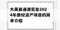 大英县通源实业2024年债权资产项目的简单介绍