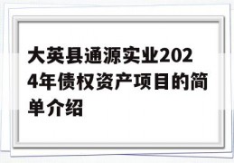 大英县通源实业2024年债权资产项目的简单介绍