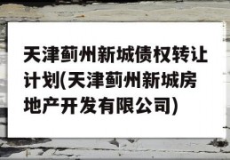 天津蓟州新城债权转让计划(天津蓟州新城房地产开发有限公司)