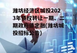 潍坊经济区城投2023年债权转让一期、二期政府债定融(潍坊城投招标公告)