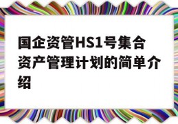 国企资管HS1号集合资产管理计划的简单介绍