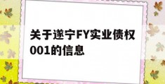 关于遂宁FY实业债权001的信息