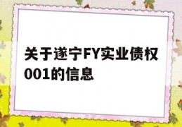 关于遂宁FY实业债权001的信息