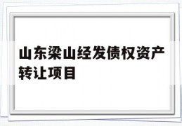 山东梁山经发债权资产转让项目