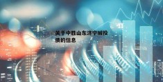 关于中胜山东济宁城投债的信息