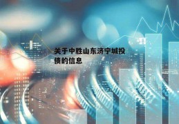 关于中胜山东济宁城投债的信息