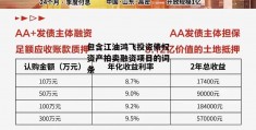 包含江油鸿飞投资债权资产拍卖融资项目的词条