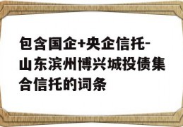 包含国企+央企信托-山东滨州博兴城投债集合信托的词条