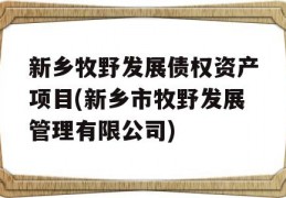 新乡牧野发展债权资产项目(新乡市牧野发展管理有限公司)