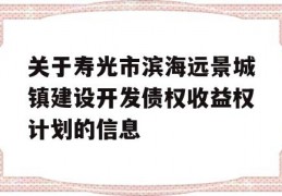 关于寿光市滨海远景城镇建设开发债权收益权计划的信息