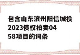 包含山东滨州阳信城投2023债权拍卖0458项目的词条