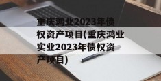 重庆鸿业2023年债权资产项目(重庆鸿业实业2023年债权资产项目)