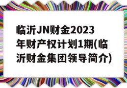 临沂JN财金2023年财产权计划1期(临沂财金集团领导简介)