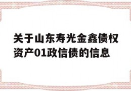 关于山东寿光金鑫债权资产01政信债的信息