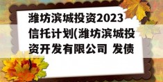 潍坊滨城投资2023信托计划(潍坊滨城投资开发有限公司 发债)