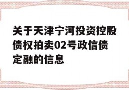 关于天津宁河投资控股债权拍卖02号政信债定融的信息