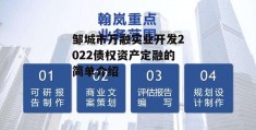 邹城市万融实业开发2022债权资产定融的简单介绍