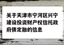 关于天津市宁河区兴宁建设投资财产权信托政府债定融的信息