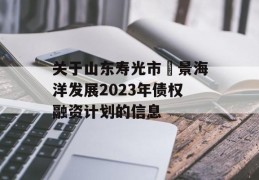 关于山东寿光市昇景海洋发展2023年债权融资计划的信息