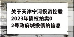 关于天津宁河投资控股2023年债权拍卖02号政府城投债的信息