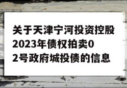 关于天津宁河投资控股2023年债权拍卖02号政府城投债的信息