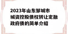 2023年山东邹城市城资控股债权转让定融政府债的简单介绍