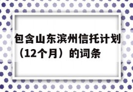 包含山东滨州信托计划（12个月）的词条