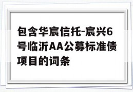 包含华宸信托-宸兴6号临沂AA公募标准债项目的词条