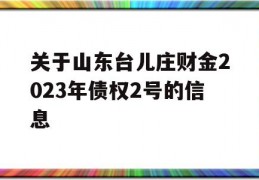 关于山东台儿庄财金2023年债权2号的信息