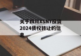 关于四川XSNY投资2024债权转让的信息