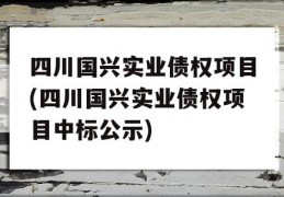 四川国兴实业债权项目(四川国兴实业债权项目中标公示)