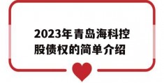 2023年青岛海科控股债权的简单介绍