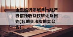 山东临沂郯城单一财产权信托收益权转让及回购(郯城县法院拍卖公告)