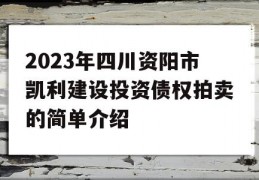 2023年四川资阳市凯利建设投资债权拍卖的简单介绍