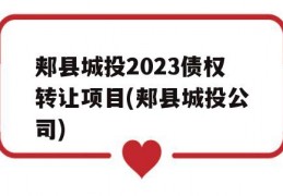 郏县城投2023债权转让项目(郏县城投公司)