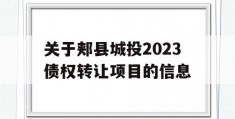 关于郏县城投2023债权转让项目的信息