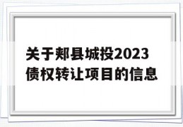 关于郏县城投2023债权转让项目的信息