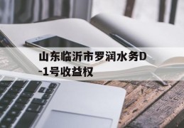 山东临沂市罗润水务D-1号收益权