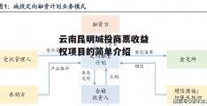 云南昆明城投商票收益权项目的简单介绍