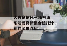 大央企信托—56号山东淄博高新集合信托计划的简单介绍