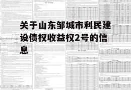 关于山东邹城市利民建设债权收益权2号的信息