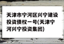 天津市宁河区兴宁建设投资债权一号(天津宁河兴宁投资集团)