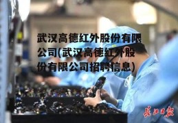 武汉高德红外股份有限公司(武汉高德红外股份有限公司招聘信息)