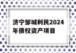 济宁邹城利民2024年债权资产项目