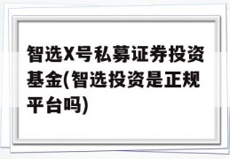 智选X号私募证券投资基金(智选投资是正规平台吗)