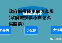 政府城投债小白怎么买(政府城投债小白怎么买股票)