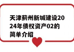 天津蓟州新城建设2024年债权资产02的简单介绍